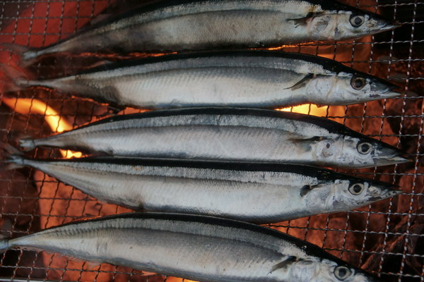 0922秋刀魚.JPG