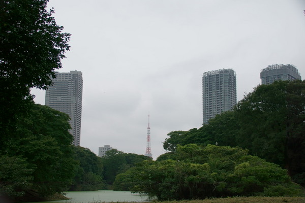 1001東京タワー.JPG